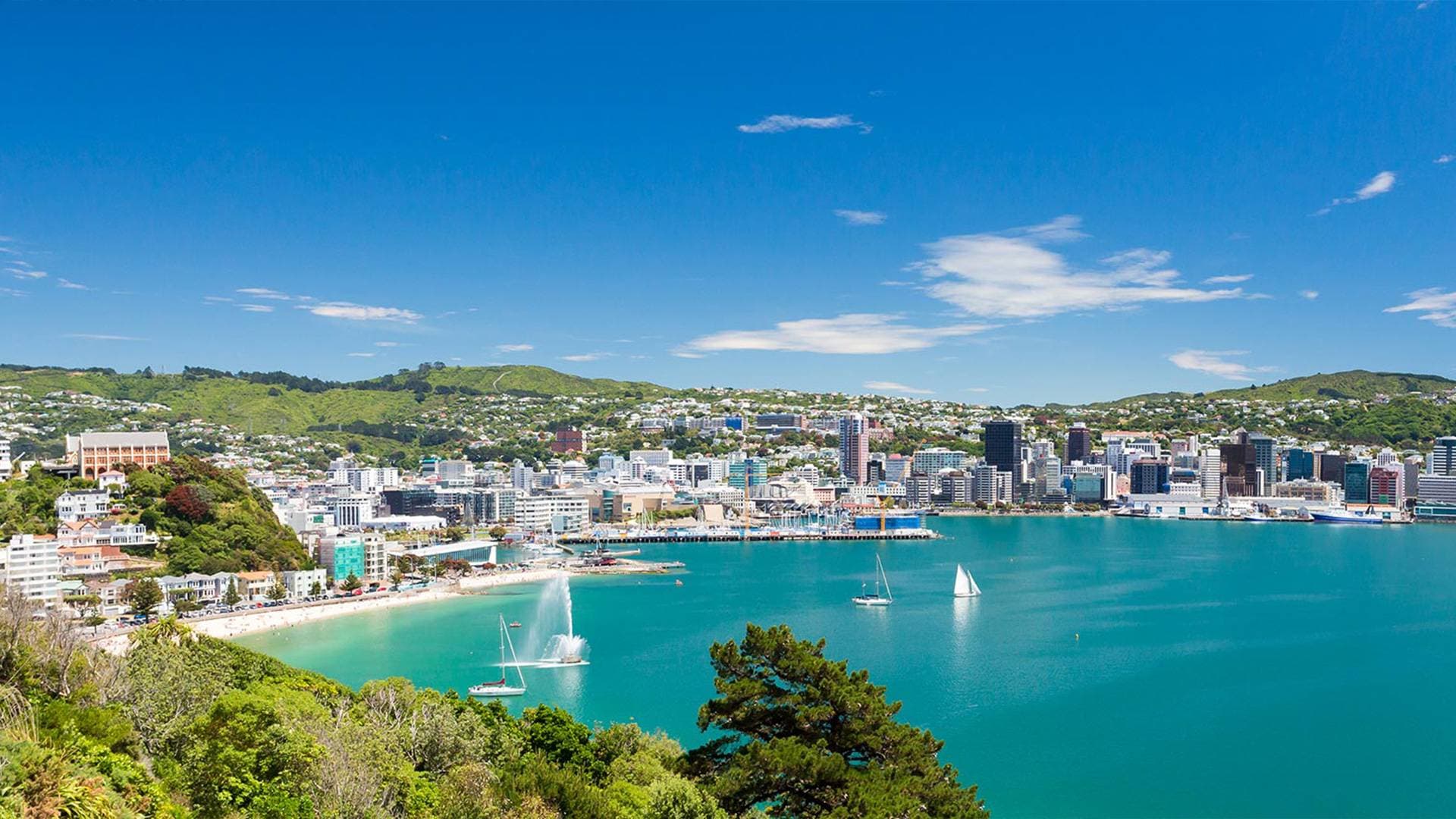 Веллингтон